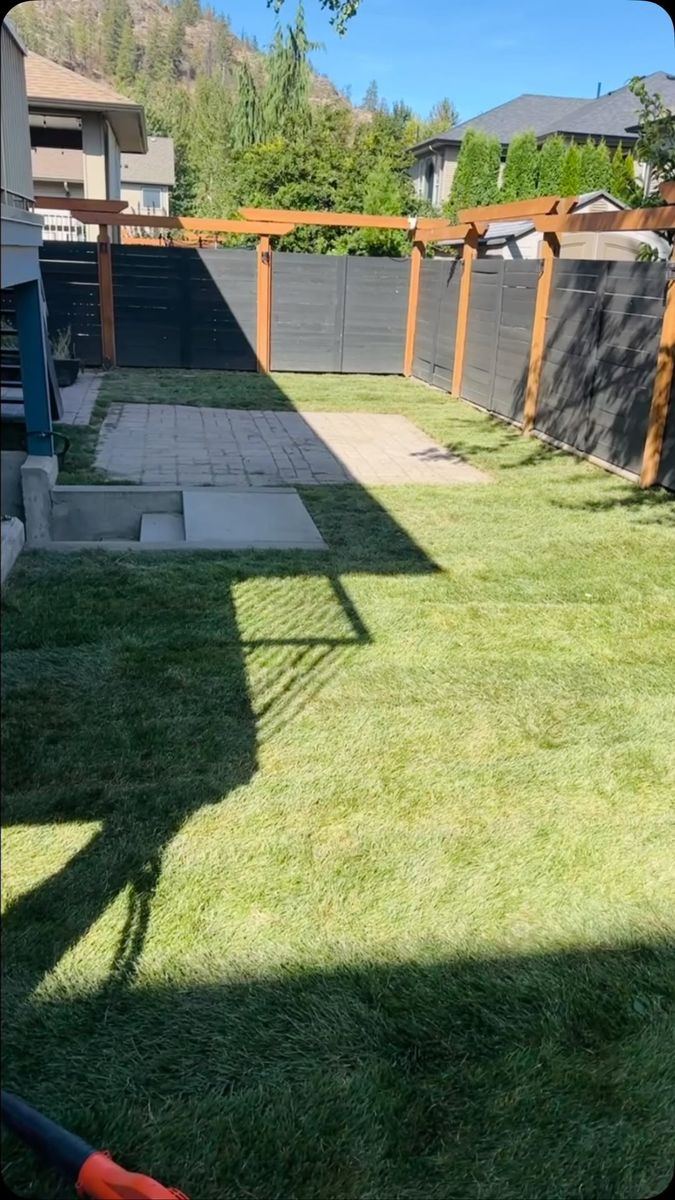 The same backyard after: fresh green sod