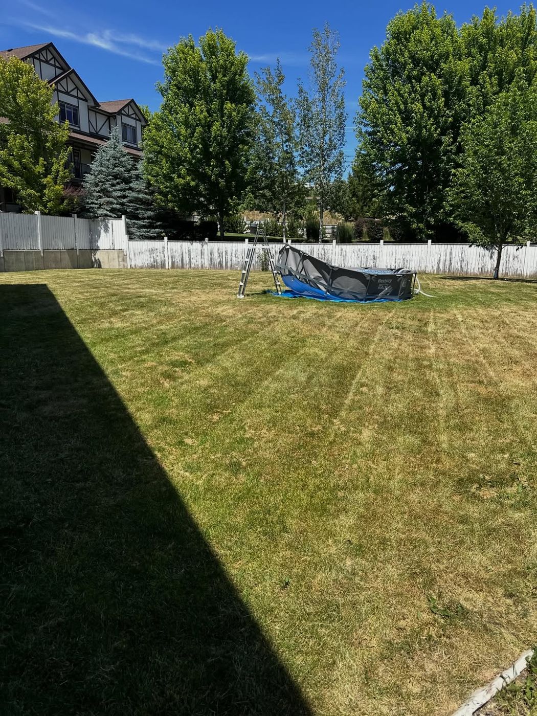 Freshly mowed striped lawn