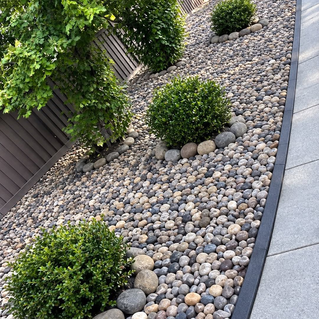Rock bed with round shrubs along a fence